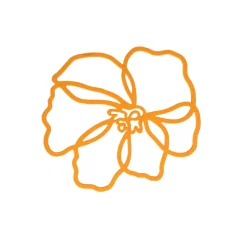 Tools2Cook - Siliconen Onderzetter Poppy Orange