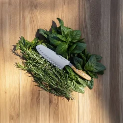 Wusthof - Amici Santoku met kuiltjes 17 cm