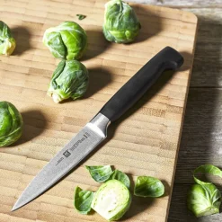 Zwilling - 4 Star Schil- en garneermes 100 mm